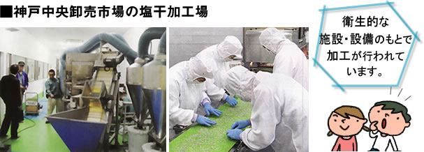 神戸市中央卸売市場塩干加工場