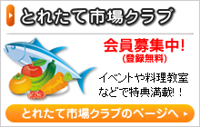 �Ƃꂽ�Ďs��N���u