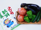 愛媛県野菜親子料理教室